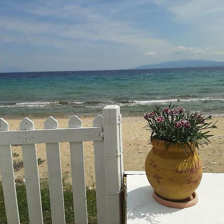 House Kokkalas On The Beach Pyrgadikia Zewnętrze zdjęcie