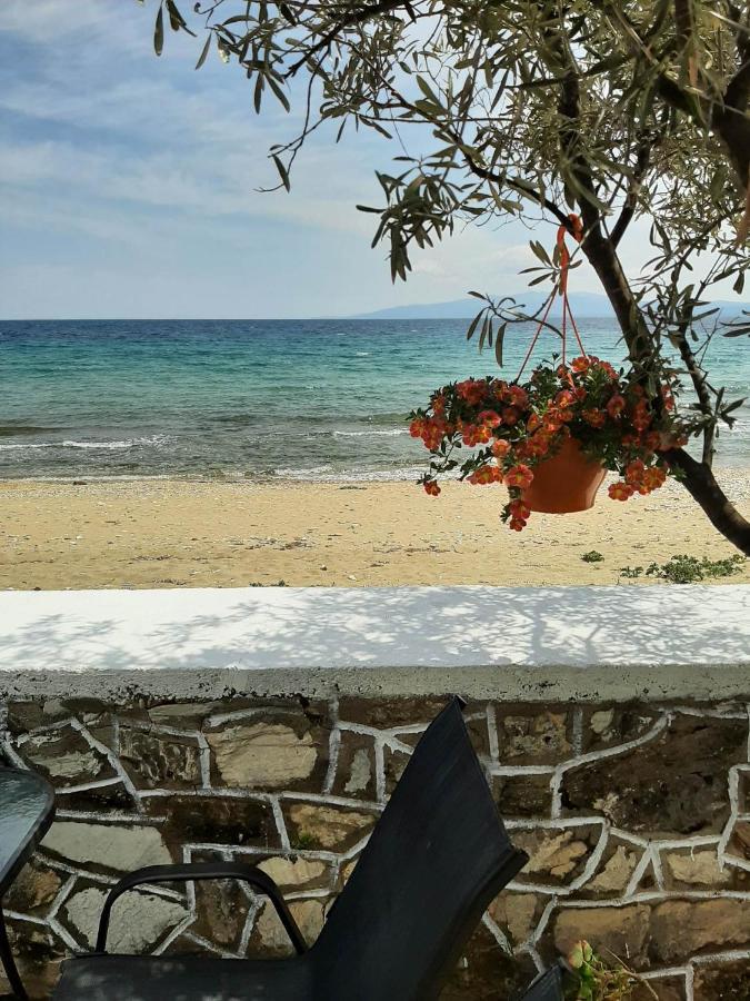 House Kokkalas On The Beach Pyrgadikia Zewnętrze zdjęcie